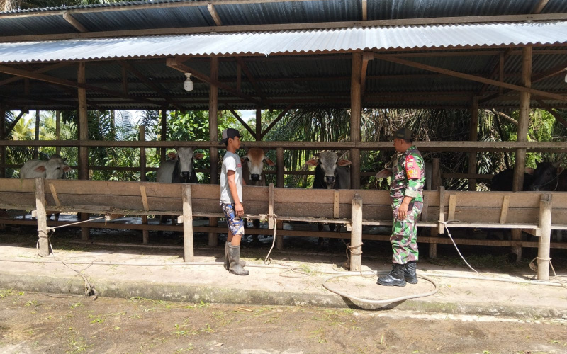 Sertu Jumat Desmanto Sambangi Peternakan, Sosialisasi Terkait Kesehatan