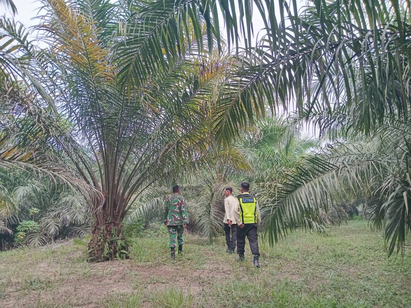 Babinsa Koramil 03/Minas Patroli Karhutla di Kampung Lubuk Jering, Kondisi Terkendali