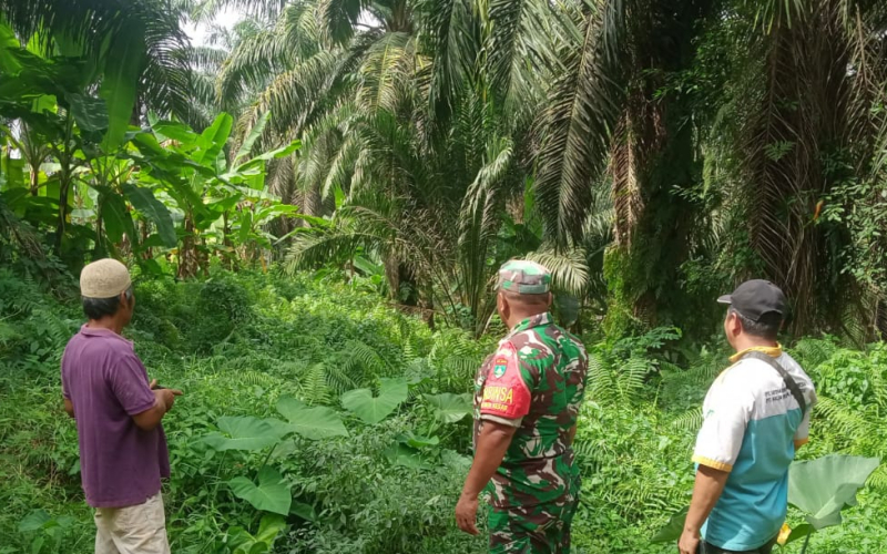 Babinsa Bagan Besar Gencarkan Patroli dan Sosialisasi Cegah Karhutla