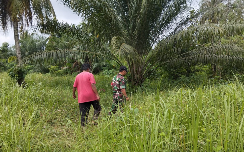 Koramil 02 Melalui Babinsa Sertu Jumat Aktif Patroli Karhutla
