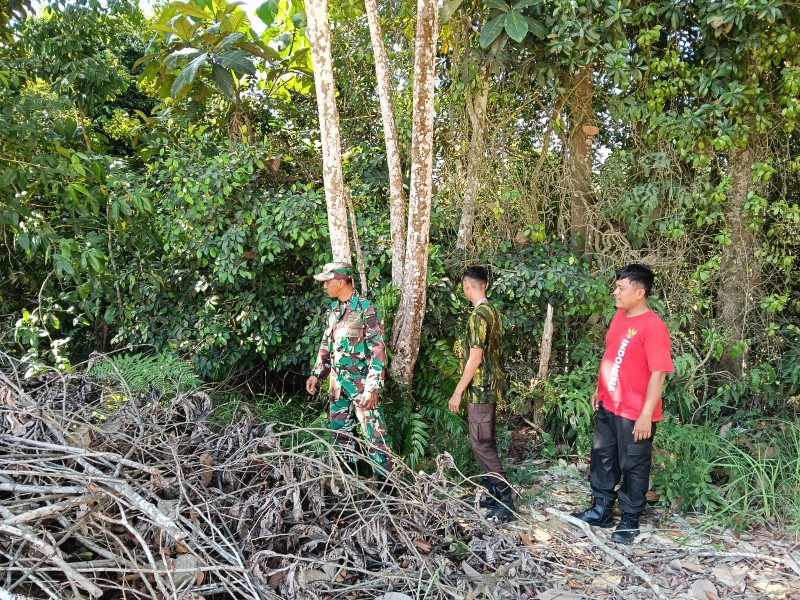 Babinsa Koramil 03/Minas Laksanakan Patroli Karhutla di Kampung Bencah Umbai, Tidak Ditemukan Titik Api