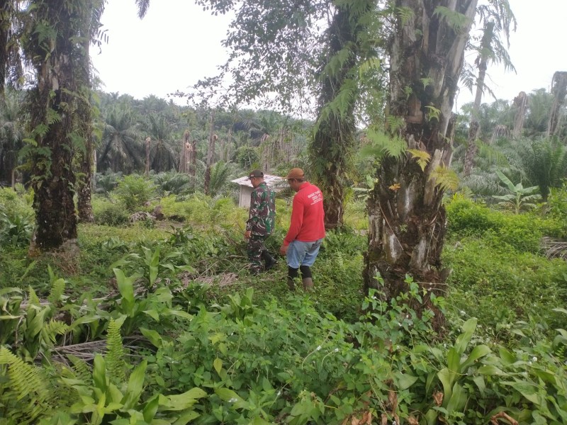 Babinsa Serma Edy S Gelar Patroli Karhutla di Koto Gasib, Pastikan Nihil Titik Api