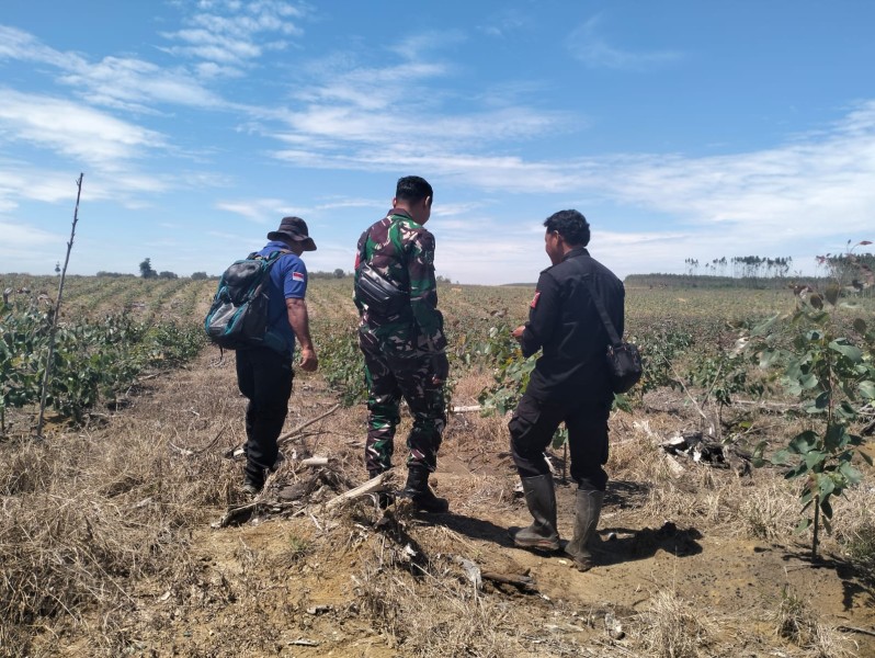 Serda Holmes Pasaribu Awasi Karhutla di Minas, Babinsa Tegaskan Pentingnya Patroli Rutin