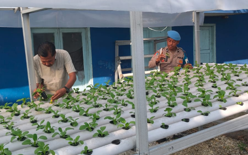 Polsek KSKP Dumai dan Kelompok Tani Tuah Brata Pangan Bersinergi Optimalkan Budidaya Jagung untuk Swasembada Pangan