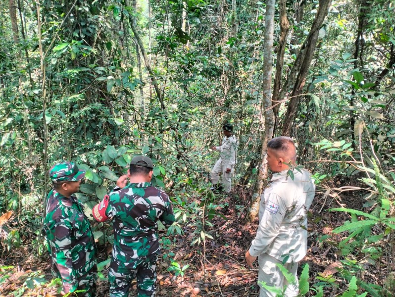 Babinsa Koramil 03/Minas Gencar Lakukan Patroli Karhutla, Titik Api Nihil di Minas Barat