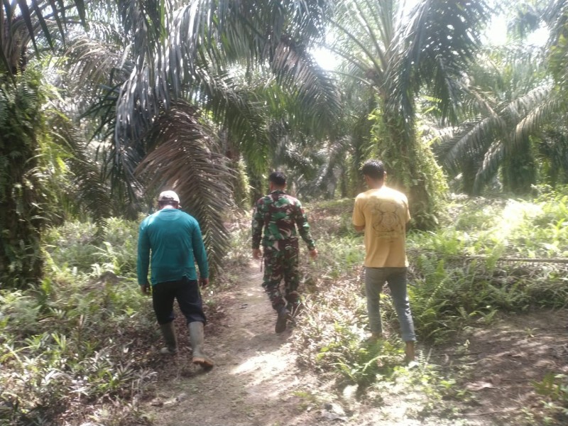 Serma Edy S Pimpin Patroli Karhutla di Koto Gasib, Titik Api Nihil