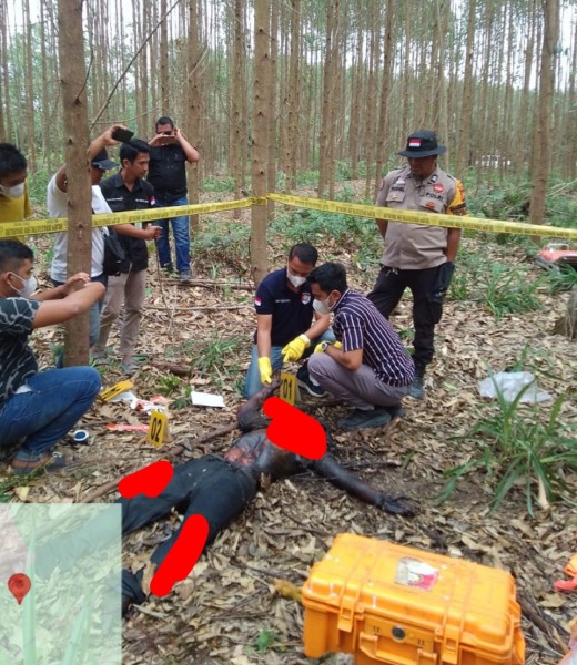 HEBOH! Penemuan Mayat Membusuk di Desa Gondai Gegerkan Warga Pelalawan