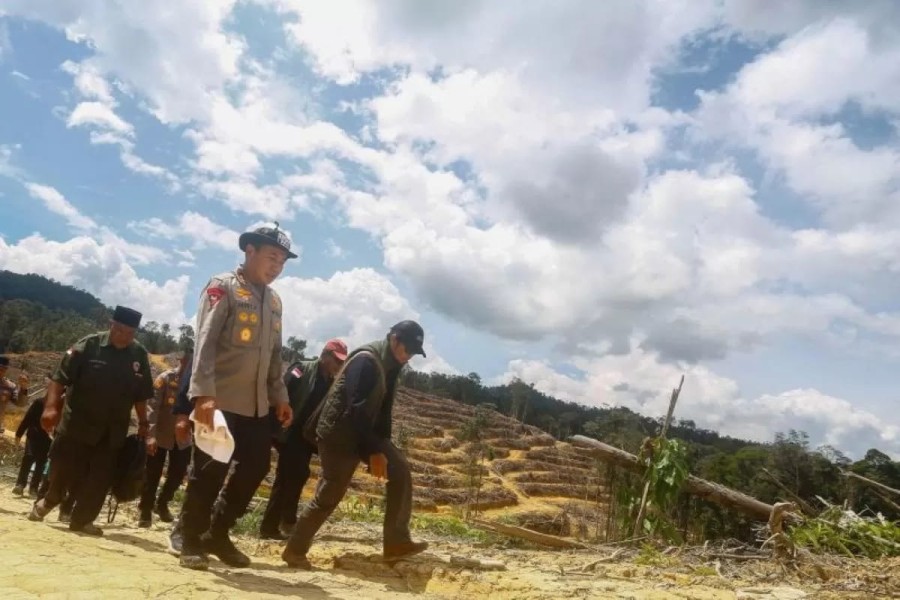 Hutan Hulu Sungai Kampar Menipis, Ancaman Bencana PLTA Koto Panjang