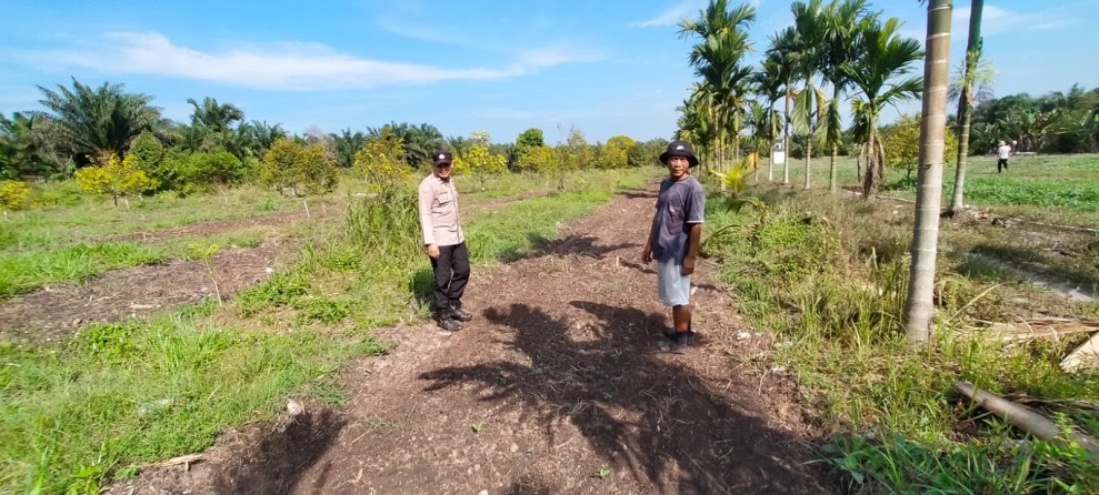 Hujan Mulai Turun, Polsek Koto Gasib Pastikan 1 Hektare Lahan Jagung Siap Ditanami