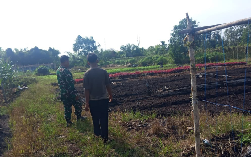 Cegah Karhutla Sejak Dini, Babinsa Dumai Barat Patroli dan Edukasi Warga