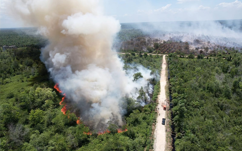Karhutla Terjadi di Tiga Lokasi di Dumai, BPBD Bersama TNI-Polri Lakukan Pemadaman