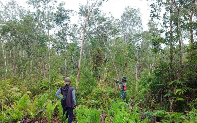 Babinsa Koramil 02/BK Dampingi Petani Cabai Keriting di Kelurahan Mundam