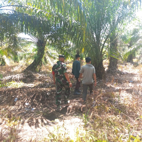 Babinsa Sertu Sarju Patroli Karhutla di Tualang, Tidak Ditemukan Titik Api