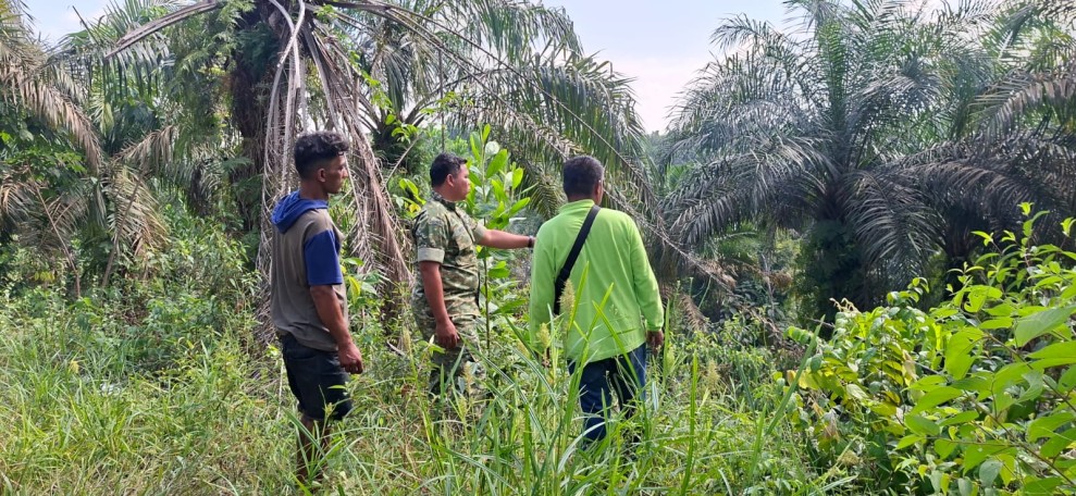 Serda Wiky Hendri Septa Laksanakan Patroli Karhutla di Kampung Teluk Lancang, Situasi Aman dan Kondusif