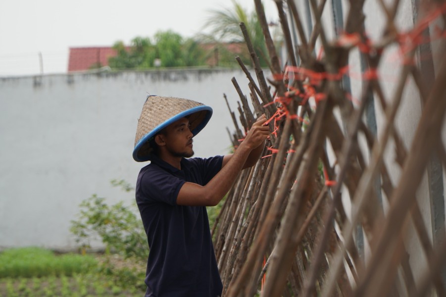 Usai Panen, Rutan Dumai Kembali Tanam Kacang Panjang, Perkuat Ketahanan Pangan dan Kemandirian WBP