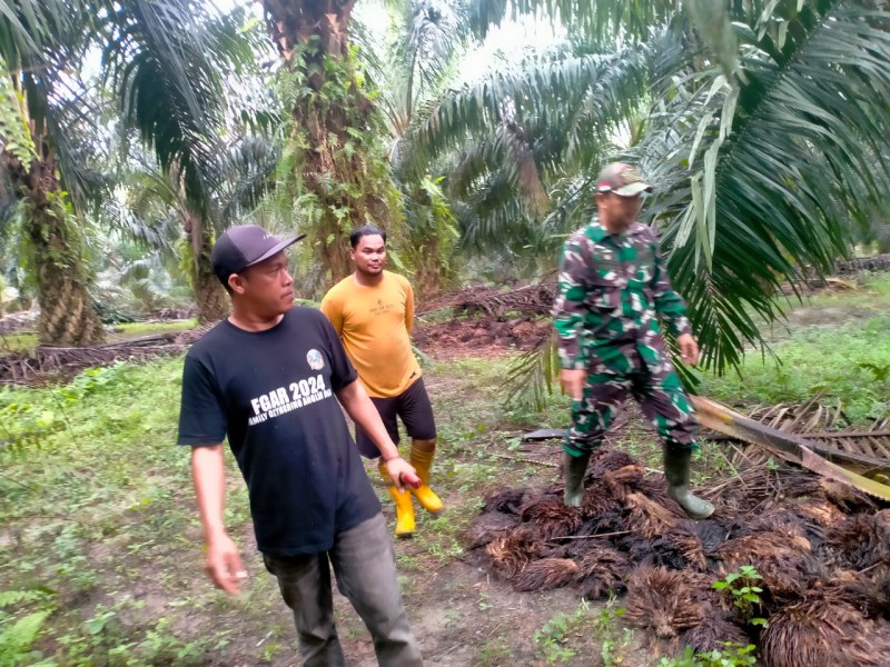 Babinsa Koramil 04/Perawang Aktif Berpatroli, Pastikan Nihil Titik Api di Koto Gasib