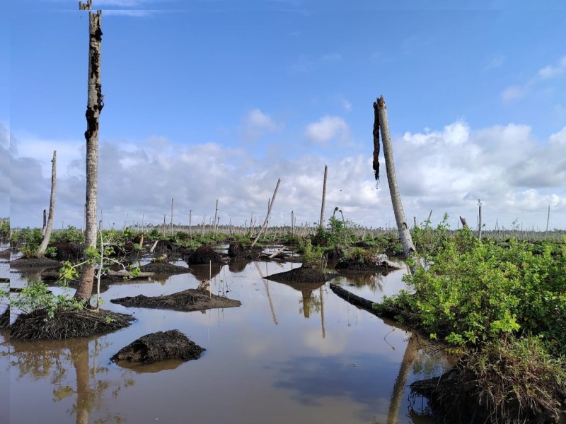 Atasi Bencana Ekologis, BDPN Desak Pemda Segera Susun Rencana Aksi Daerah Mitigasi dan Adaptasi Perubahan Iklim