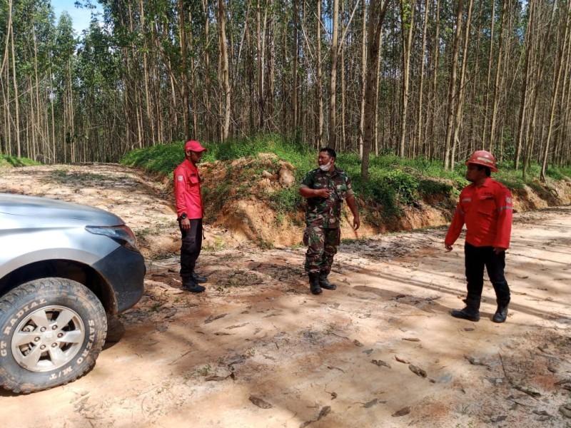 Babinsa Serma D. Sihombing Patroli Karhutla di Muara Bungkal, Pastikan Wilayah Aman dari Titik Api