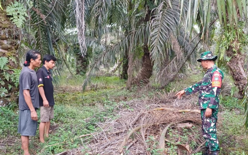 Antisipasi Kebakaran Lahan, Serka M. Aslim Lubis Lakukan Pemantauan dan Edukasi Warga