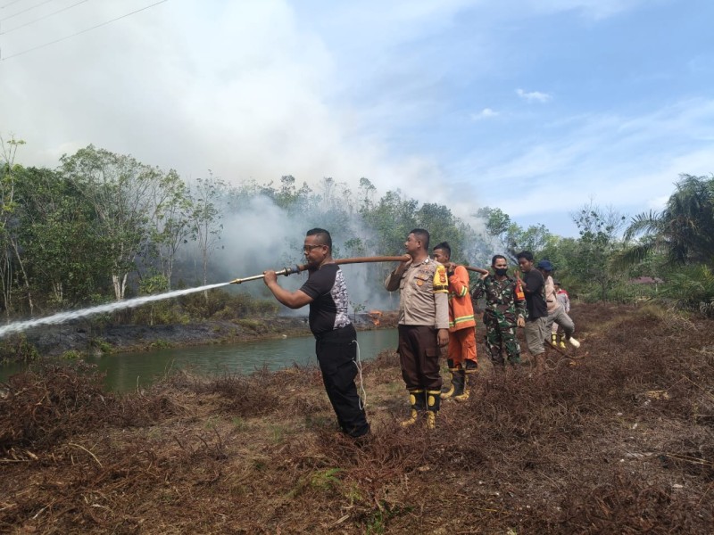 Personel Polsek Bangkinang Barat Berjibaku Padamkan Karhutla, Lahan 5 Hektar di Salo Timur Berhasil Diselamatkan