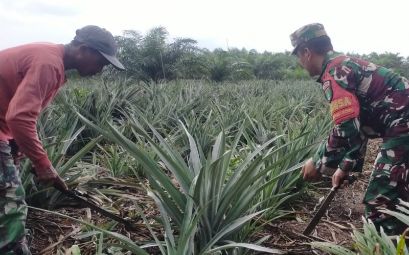 Jaga Lingkungan dan Ketahanan Pangan, Babinsa Bangsal Aceh Patroli Karhutla