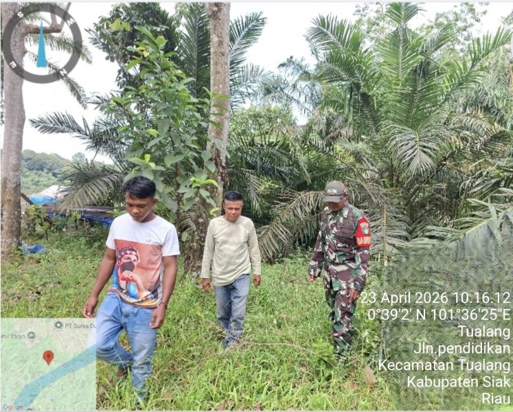 Sertu Sarju Laksanakan Patroli Karhutla di Wilayah Tualang, Situasi Aman Tanpa Titik Api