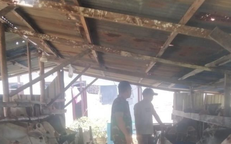 Koramil 03 Sambangi Peternakan, Dukung Program Pencegahan PMK