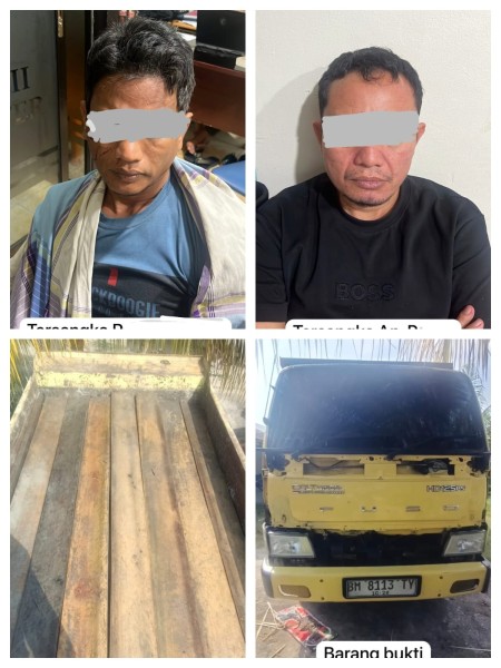 Polres Pelalawan Bongkar Kasus Ilegal Logging, Dua Truk Bermuatan 12 Kubik Kayu Diamankan