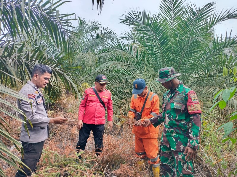 Babinsa Koramil 03/Minas Sertu Joko Purnomo Laksanakan Patroli Karhutla di Minas Timur, Titik Api Nihil