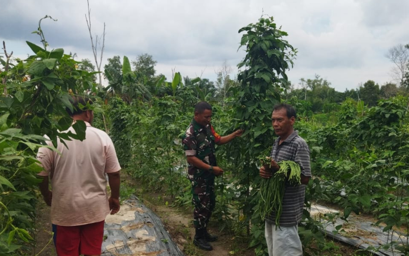 Patroli Karhutla Sambil Dampingi Petani, Babinsa Ratu Sima Edukasi Warga Jaga Lingkungan