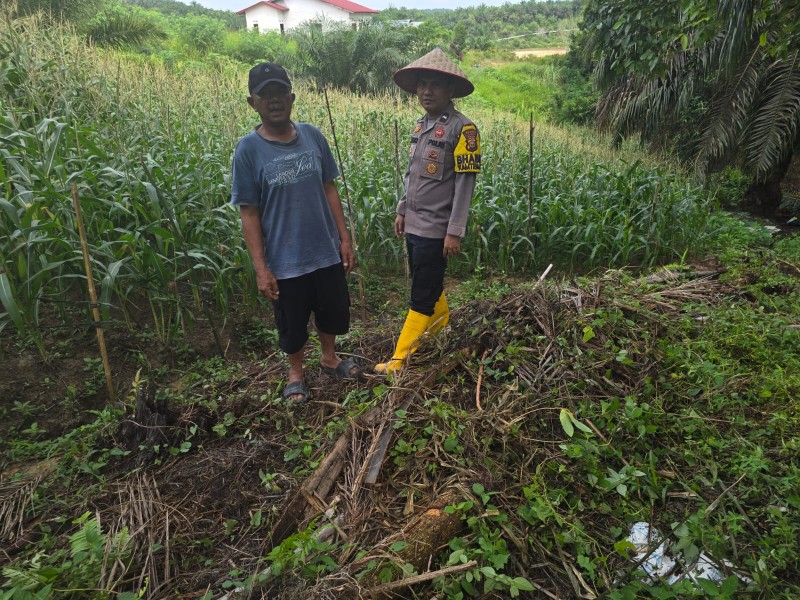Bhabinkamtibmas dan Kelompok Tani Pasang Tonggak Penyangga Jagung di Minas Timur Hadapi Musim Hujan