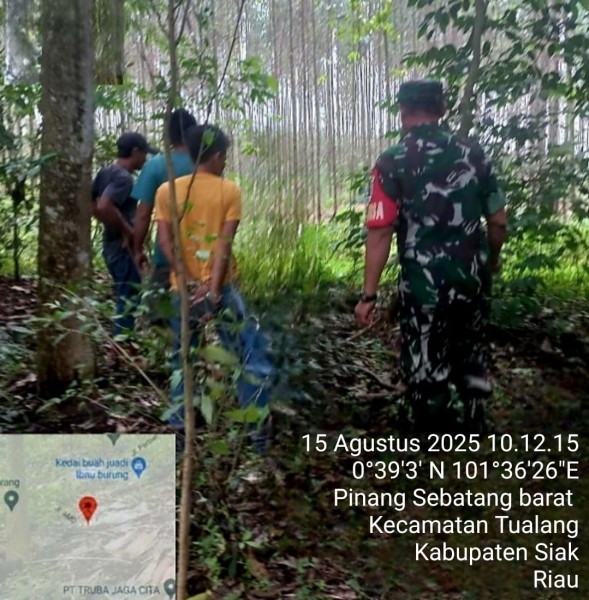 Babinsa Koramil 04/Perawang Sertu Sarju Gelar Patroli Karhutla di Pinang Sebatang Barat