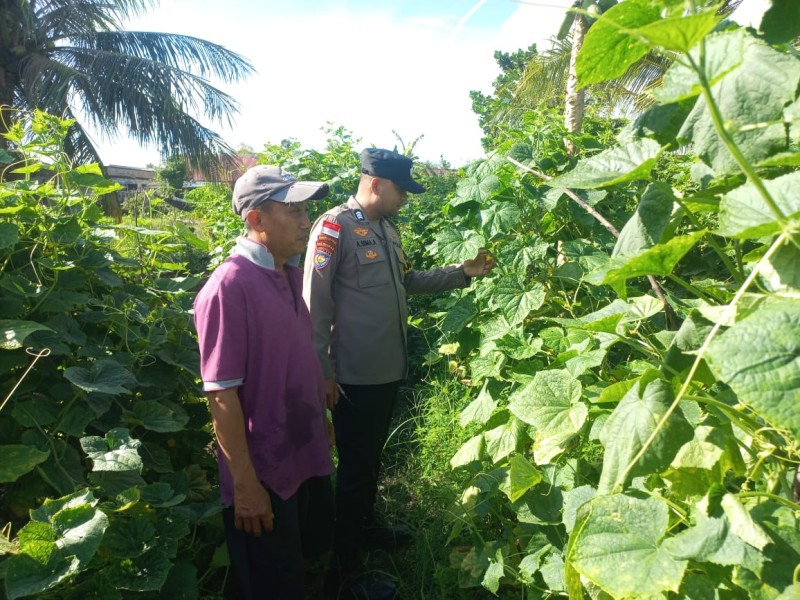 Polsek Tebing Tinggi Barat Bina Kebun Timun dan Tambak Udang, Perkuat Ketahanan Pangan