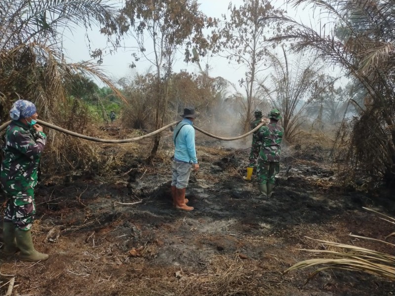 Karhutla Bakar 1 Hektare Lahan Gambut di Bangsal Aceh, Tim Gabungan Lakukan Pendinginan