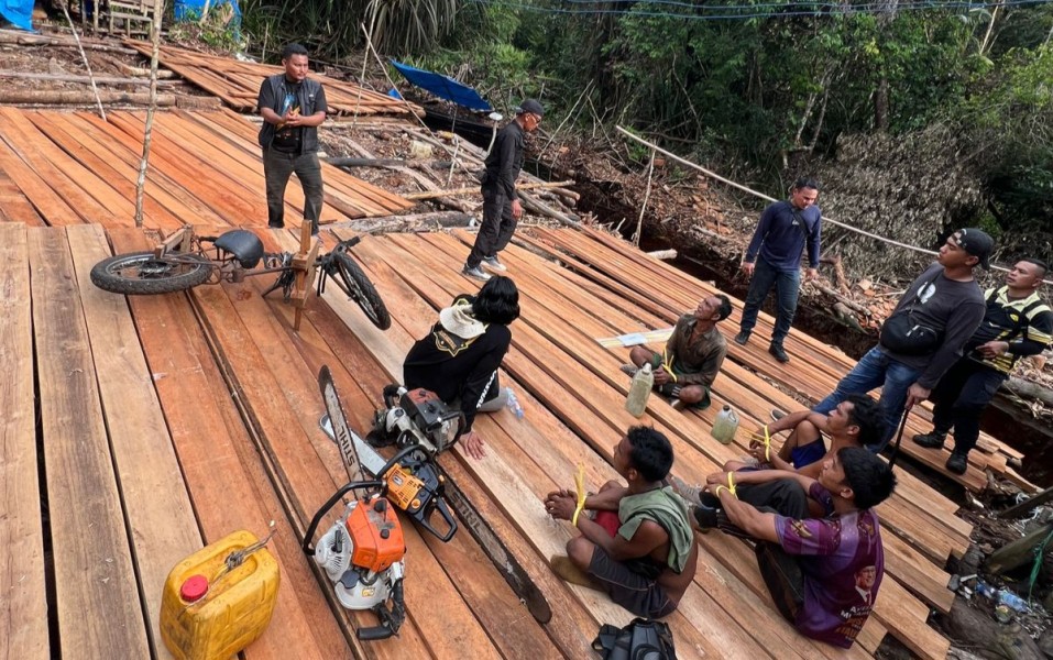 Enam Penjarah Hutan Ditangkap! Operasi Besar di Konsesi PT SPA Bongkar Aksi Illegal Logging Lintas Kabupaten