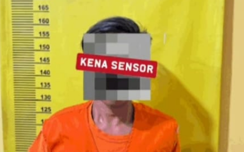 Pria Bengkalis Diciduk Saat Mencuri 82 Janjang Sawit di Dumai