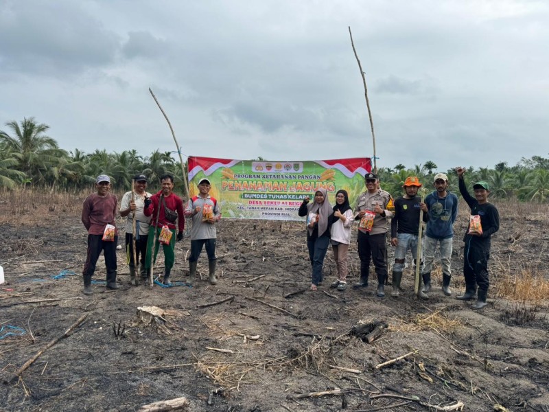Bhabinkamtibmas Dampingi Penanaman Jagung di Tekulai Bugis
