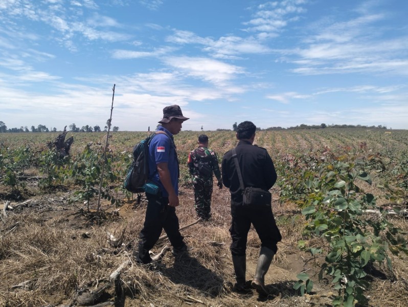 Babinsa Koramil 03/Minas Gelar Patroli Karhutla di Sungai Mandau, Situasi Aman dan Terkendali