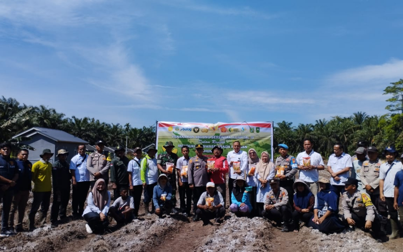 Kolaborasi TNI dan Petani, Penanaman Jagung Serentak Warnai Program Ketahanan Pangan di Dumai