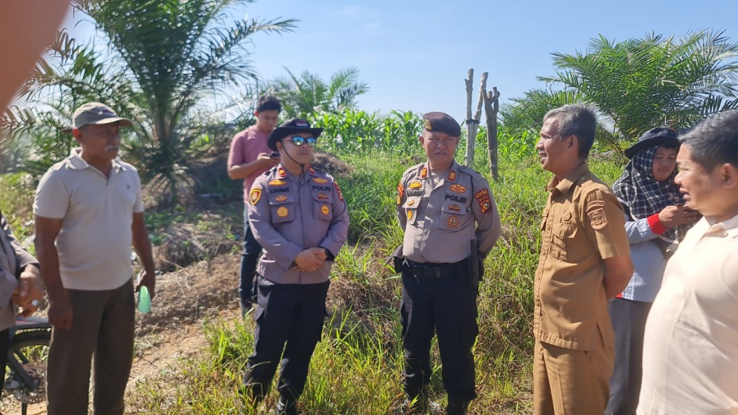 Wakapolres Pelalawan dan Kapolsek Pangkalan Kuras Cek 40 Hektare Jagung, dalam program ketahanan pangan