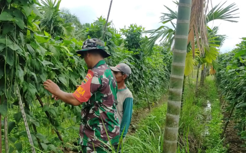 Babinsa Bangsal Aceh Karya Nyata dan Patroli Keamanan