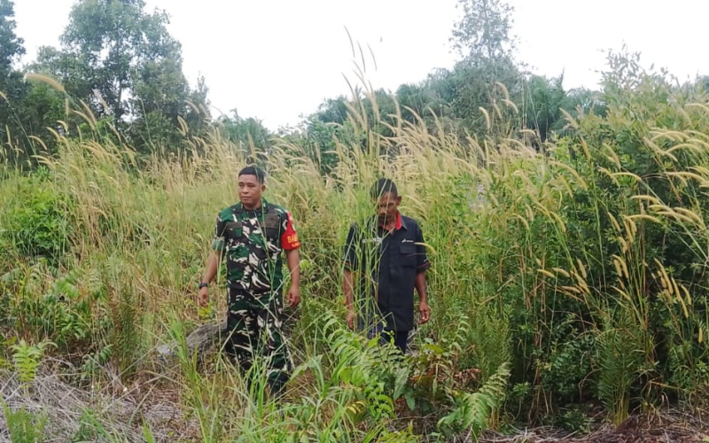 Cegah Karhutla, Babinsa Koramil 01 Dumai Laksanakan Patroli dan Karya Nyata Pertanian