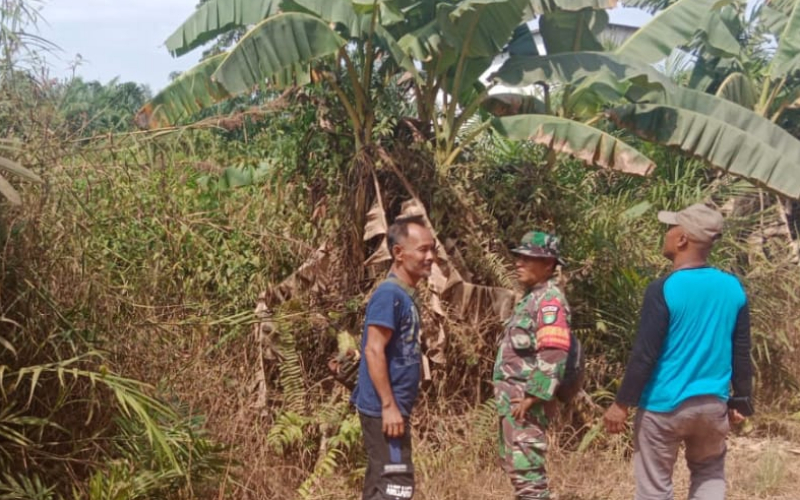 Upaya Dini Pencegahan Karhutla, Babinsa Sisir Wilayah Rawan