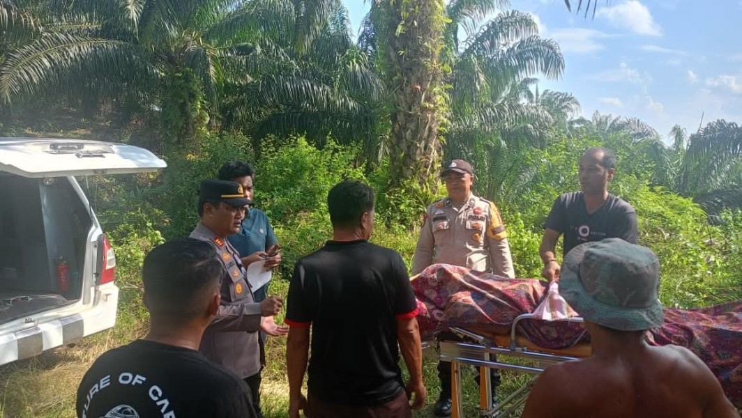 Berangkat Kerja Jam 10.00 WIB, Pria 57 Tahun Ditemukan Meninggal di Kebun Sawit Pukul 13.30 WIB