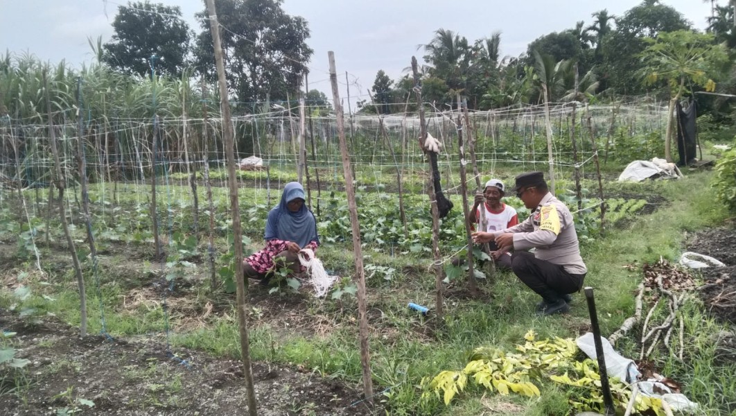 Polsek Tanah Merah Dorong Swasembada Pangan