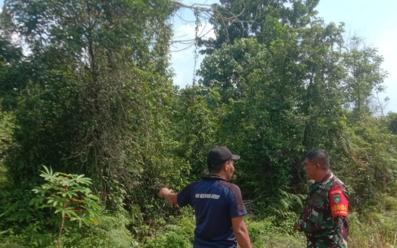 Cegah Kebakaran Lahan, Babinsa Koramil 02 Lakukan Patroli di Teluk Makmur