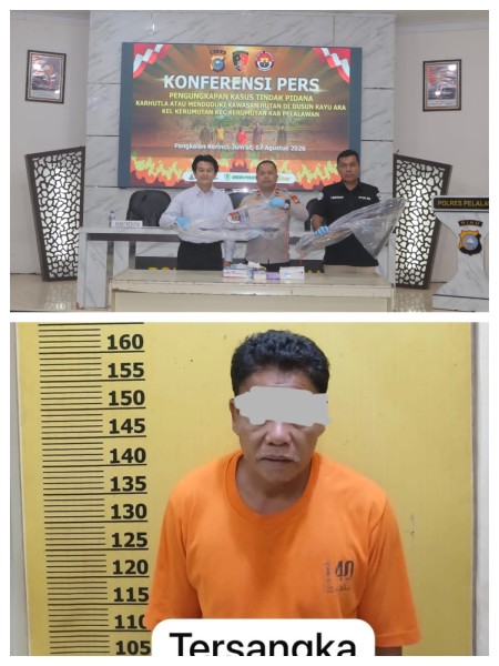 Polres Pelalawan Tangkap Pelaku Pembakar Hutan di Kerumutan, Lahan Gambut Dibuka untuk Kebun Sawit