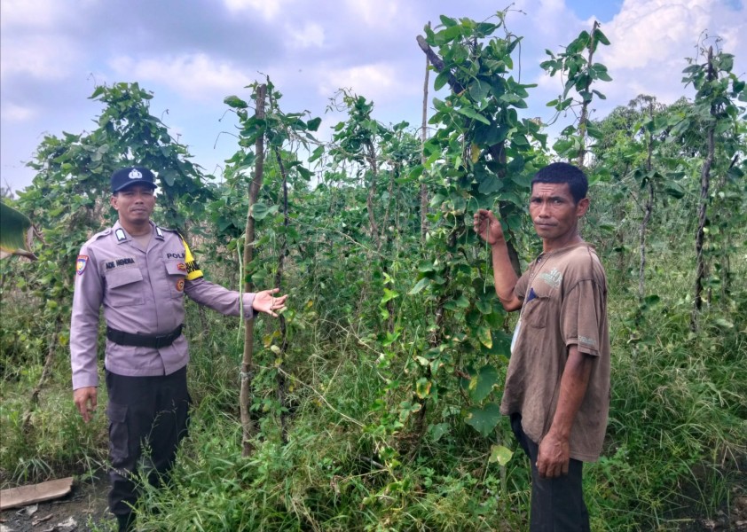 Bhabinkamtibmas Hadir di Lahan Pertanian, Dukung Program Asta Cita