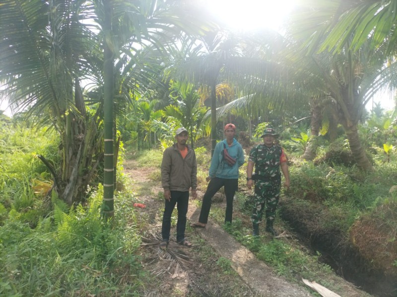 Patroli Tapal Batas, Babinsa Koramil 06/Kateman Ingatkan Warga Hindari Buka Lahan dengan Cara Membakar