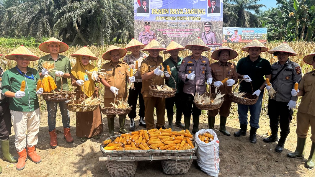 Panen Raya Jagung Serentak di Koto Gasib: Kolaborasi Polsek dan PT. KTU Astra Dukung Swasembada Pangan 2025